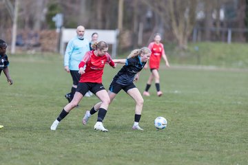 Bild 182 - wBJ VfL Pinneberg - Waldd�rfer SV : Ergebnis: 5:0
